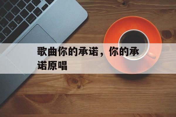 歌曲你的承诺，你的承诺原唱-第1张图片-
