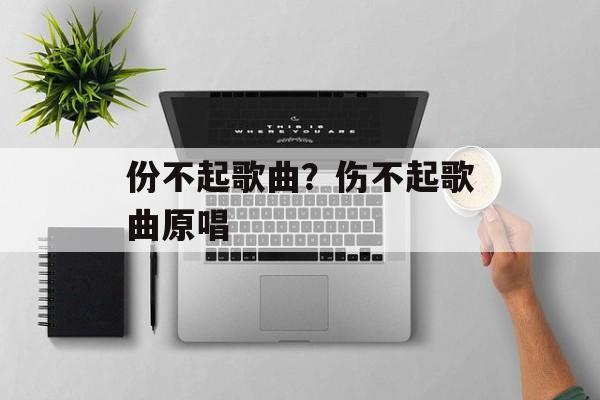 份不起歌曲？伤不起歌曲原唱-第1张图片-
