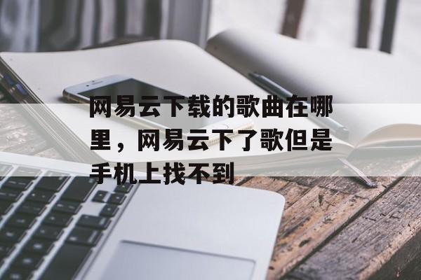 网易云下载的歌曲在哪里，网易云下了歌但是手机上找不到-第1张图片-