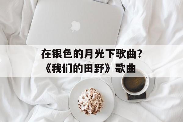 在银色的月光下歌曲？《我们的田野》歌曲-第1张图片-