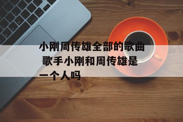 小刚周传雄全部的歌曲 歌手小刚和周传雄是一个人吗-第1张图片-