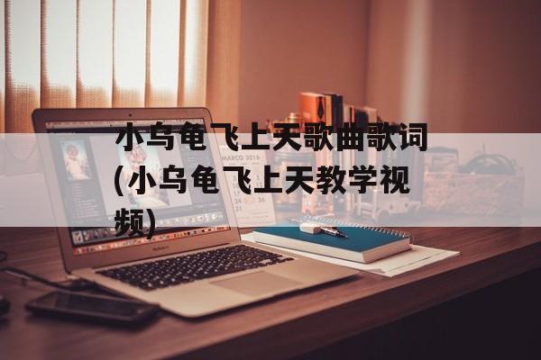 小乌龟飞上天歌曲歌词(小乌龟飞上天教学视频)-第1张图片-