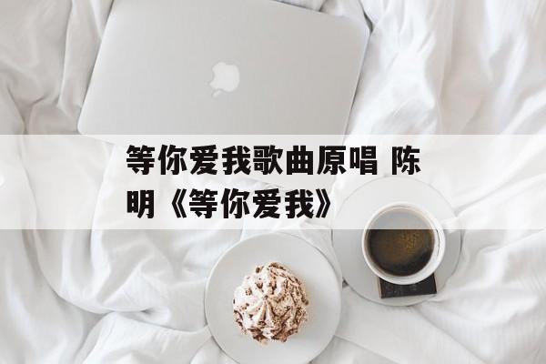 等你爱我歌曲原唱 陈明《等你爱我》-第1张图片-