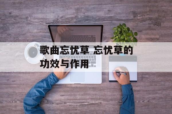 歌曲忘忧草 忘忧草的功效与作用-第1张图片-