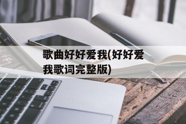 歌曲好好爱我(好好爱我歌词完整版)-第1张图片-
