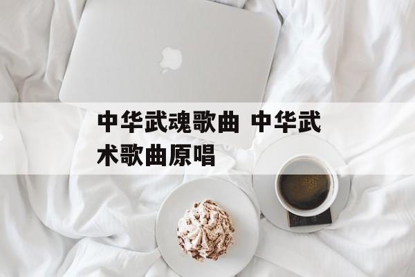 中华武魂歌曲 中华武术歌曲原唱-第1张图片-