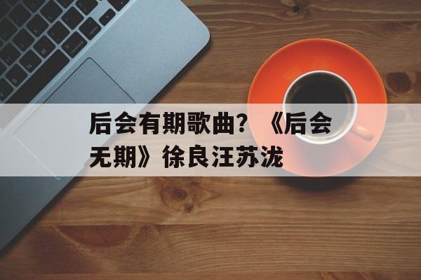 后会有期歌曲？《后会无期》徐良汪苏泷-第1张图片-