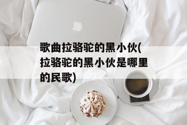 歌曲拉骆驼的黑小伙(拉骆驼的黑小伙是哪里的民歌)-第1张图片-