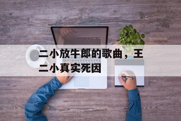 二小放牛郎的歌曲，王二小真实死因-第1张图片-