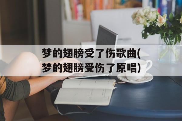 梦的翅膀受了伤歌曲(梦的翅膀受伤了原唱)-第1张图片-