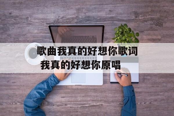 歌曲我真的好想你歌词 我真的好想你原唱-第1张图片-