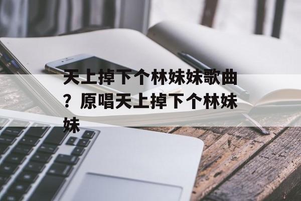天上掉下个林妹妹歌曲？原唱天上掉下个林妹妹-第1张图片-