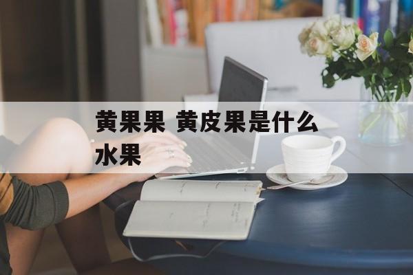 黄果果 黄皮果是什么水果-第1张图片-