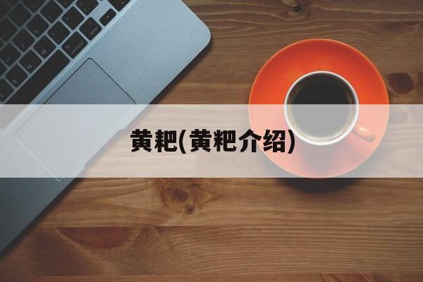 黄耙(黄粑介绍)-第1张图片-