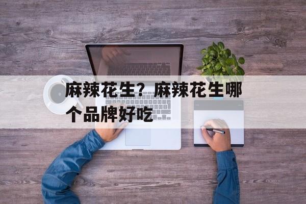 麻辣花生？麻辣花生哪个品牌好吃-第1张图片-