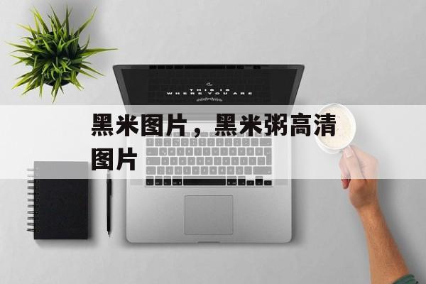 黑米图片，黑米粥高清图片-第1张图片-