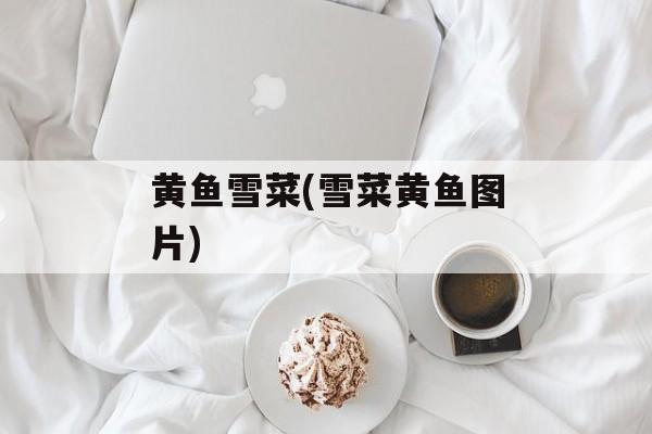 黄鱼雪菜(雪菜黄鱼图片)-第1张图片-
