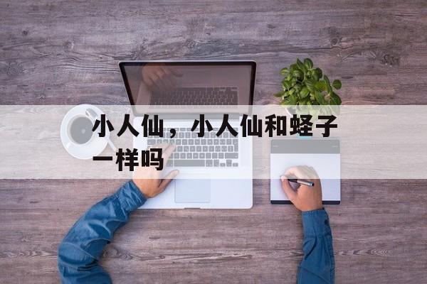 小人仙，小人仙和蛏子一样吗-第1张图片-