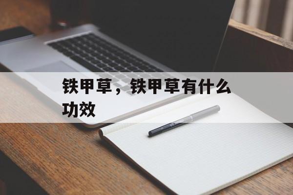 铁甲草，铁甲草有什么功效-第1张图片-