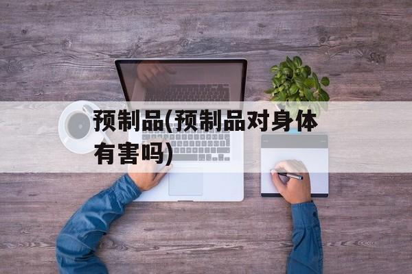 预制品(预制品对身体有害吗)-第1张图片-