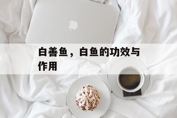 白善鱼，白鱼的功效与作用-第1张图片-