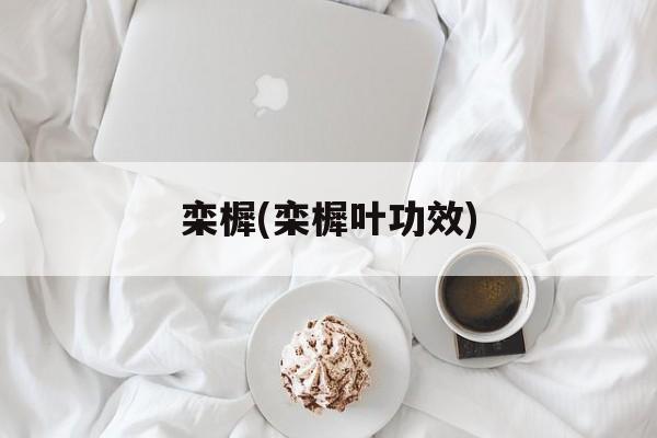 栾樨(栾樨叶功效)-第1张图片-