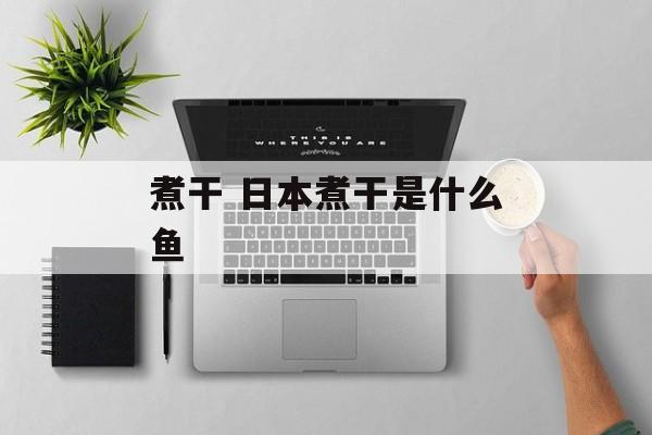 煮干 日本煮干是什么鱼-第1张图片-
