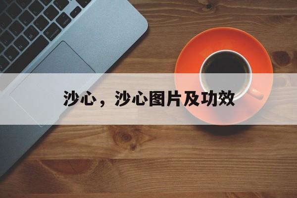 沙心，沙心图片及功效-第1张图片-