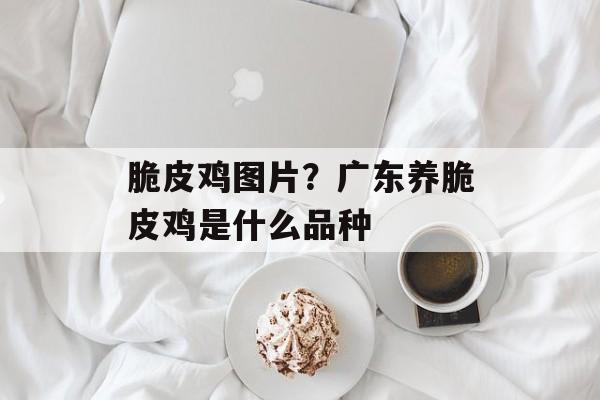 脆皮鸡图片？广东养脆皮鸡是什么品种-第1张图片-