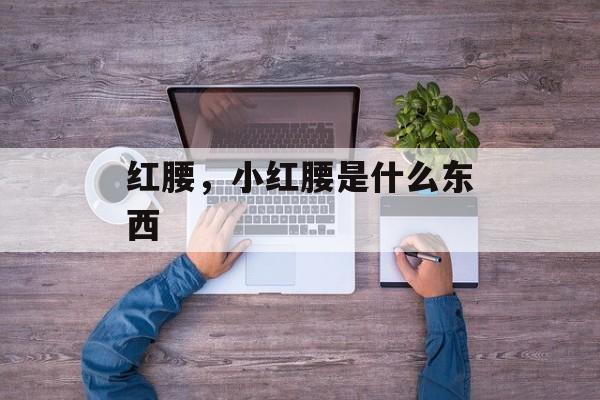 红腰，小红腰是什么东西-第1张图片-