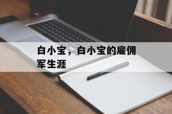 白小宝，白小宝的雇佣军生涯-第1张图片-