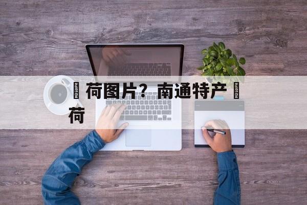 蘘荷图片？南通特产蘘荷-第1张图片-