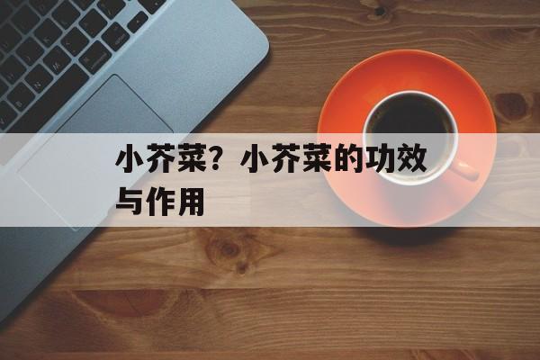 小芥菜？小芥菜的功效与作用-第1张图片-