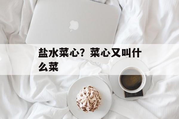 盐水菜心？菜心又叫什么菜-第1张图片-