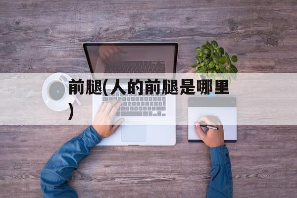 前腿(人的前腿是哪里)-第1张图片-