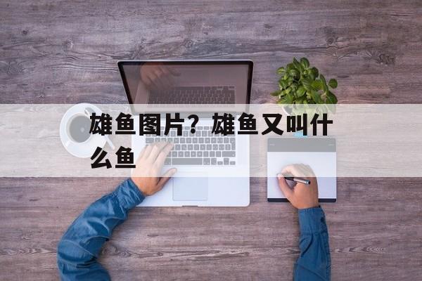 雄鱼图片？雄鱼又叫什么鱼-第1张图片-