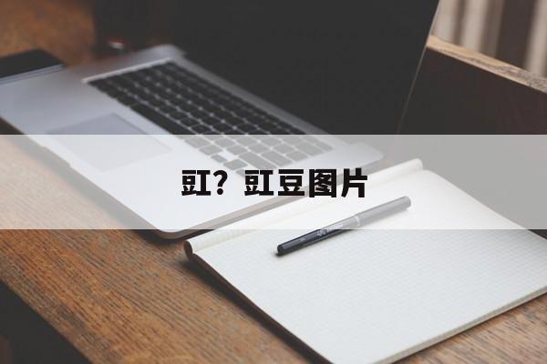 豇？豇豆图片-第1张图片-