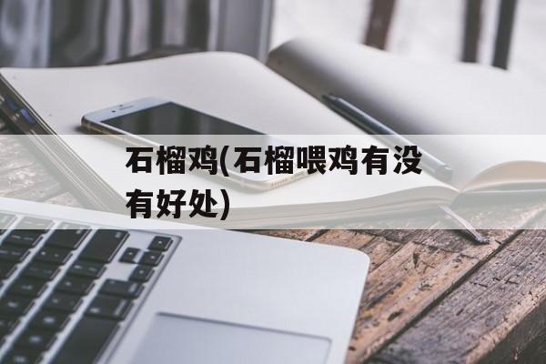 石榴鸡(石榴喂鸡有没有好处)-第1张图片-