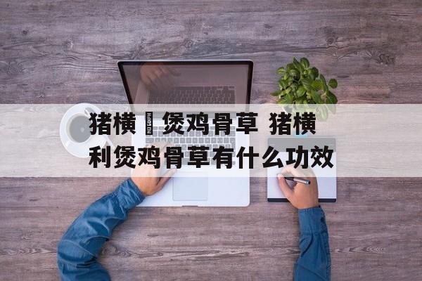 猪横脷煲鸡骨草 猪横利煲鸡骨草有什么功效-第1张图片-