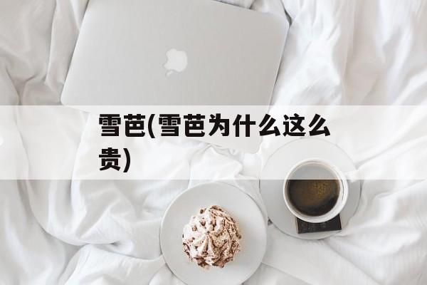 雪芭(雪芭为什么这么贵)-第1张图片-