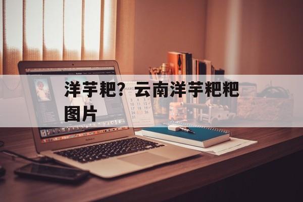 洋芋耙？云南洋芋粑粑图片-第1张图片-