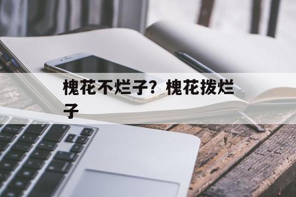 槐花不烂子？槐花拨烂子-第1张图片-