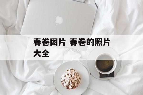 春卷图片 春卷的照片大全-第1张图片-
