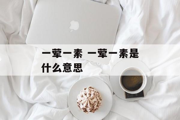 一荤一素 一荤一素是什么意思-第1张图片-