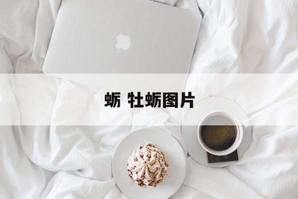 蛎 牡蛎图片-第1张图片-