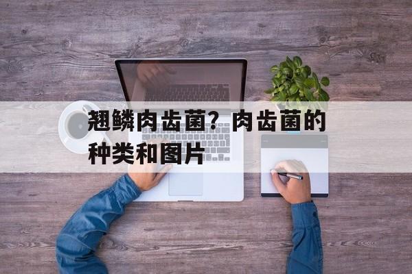 翘鳞肉齿菌？肉齿菌的种类和图片-第1张图片-