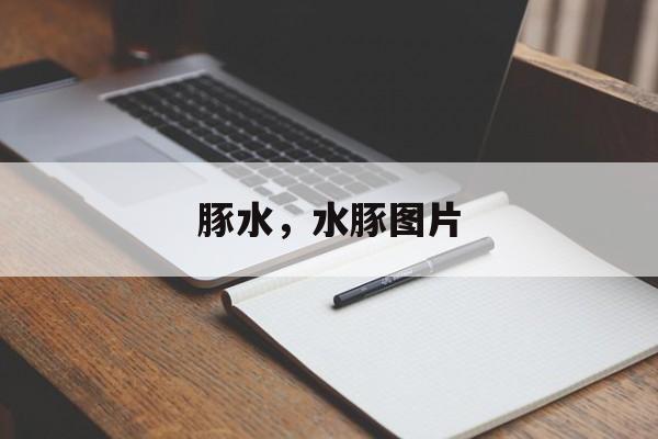 豚水，水豚图片-第1张图片-