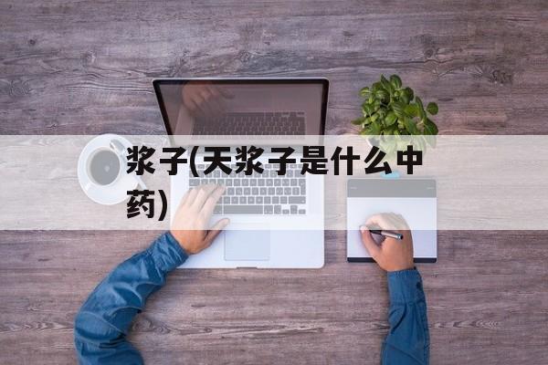 浆子(天浆子是什么中药)-第1张图片-