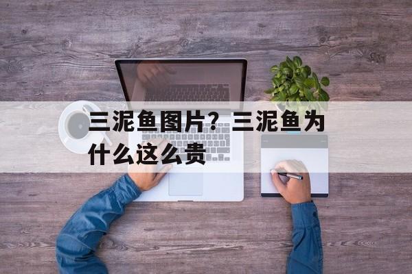 三泥鱼图片？三泥鱼为什么这么贵-第1张图片-