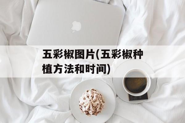 五彩椒图片(五彩椒种植方法和时间)-第1张图片-